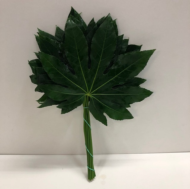 Leaf aralia L.jpg